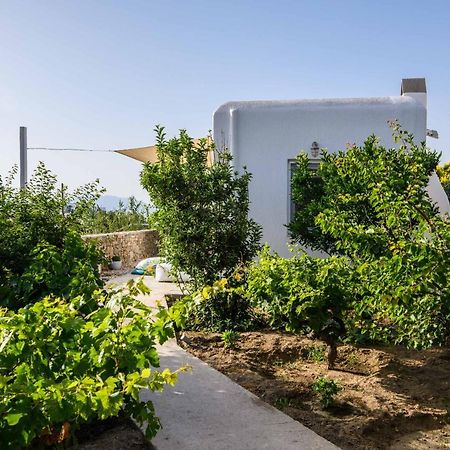 Live & Dream Villa Mykonos Town Kültér fotó
